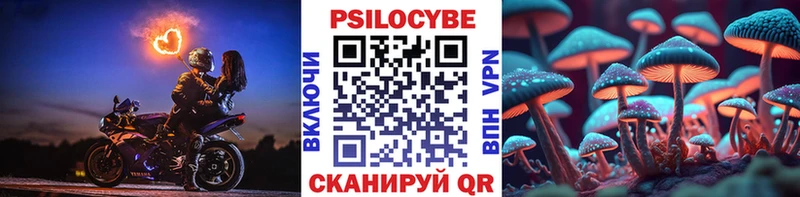 маркетплейс какой сайт  сколько стоит  Сельцо  Псилоцибиновые грибы мухоморы 